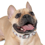 Load image into Gallery viewer, SBP Seal Dog Collar
