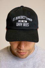 Load image into Gallery viewer, Gray Bees Est. 1868 Hat
