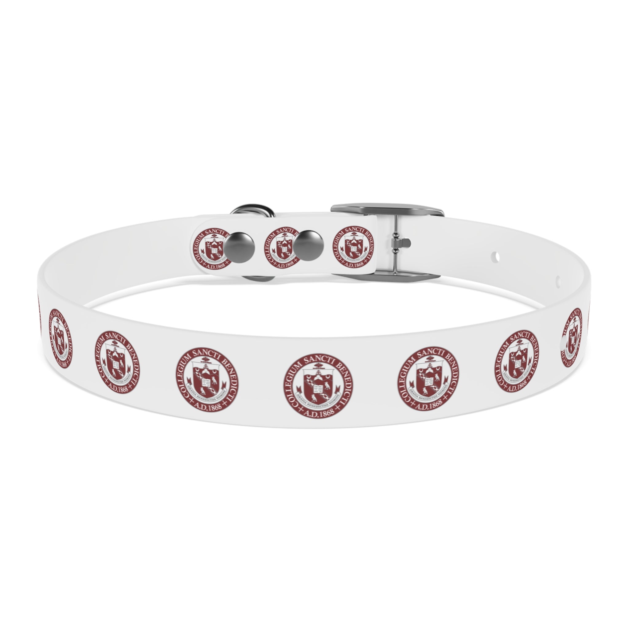 SBP Seal Dog Collar