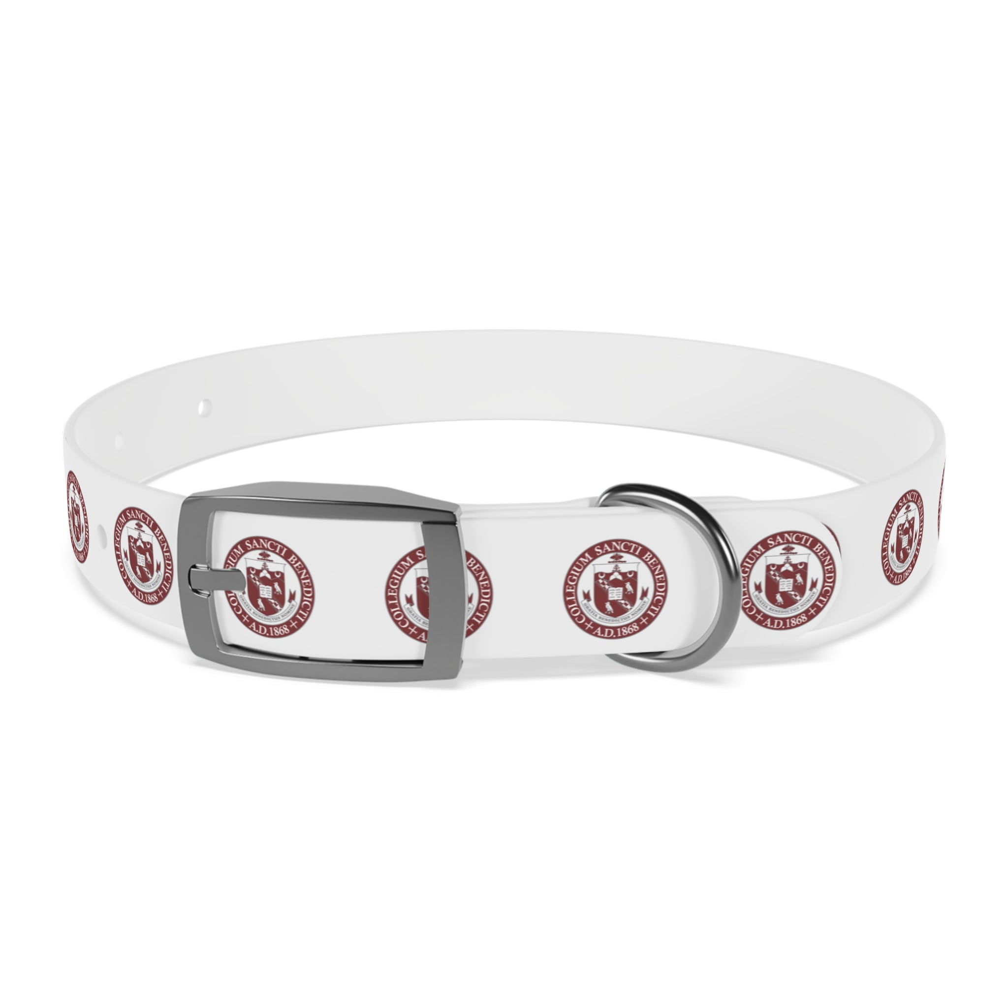 SBP Seal Dog Collar