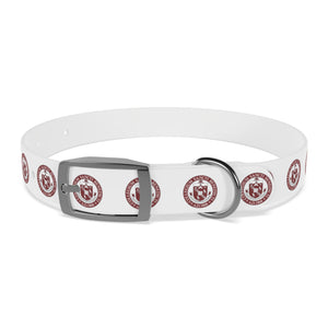 SBP Seal Dog Collar